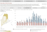 Knox County sees two more COVID-19 cases, CDC reports Saturday – Knox County VillageSoup