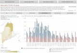 Knox County sees 11 more COVID-19 cases, CDC reports Thursday – Knox County VillageSoup