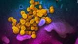 August 5, 2021 US coronavirus news