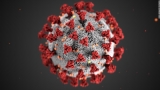The US is in ‘transition phase’ of pandemic, Fauci says