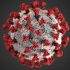 WHO chief says we are ‘increasingly blind’ on Covid transmission, Health News, ET HealthWorld