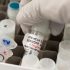 New genomic research shows why testing malaria vaccines in the clinic is as rigorous as natural exposure in the field
