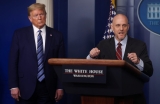 House panel says Trump staffers pressured FDA to authorize unproven COVID-19 treatment