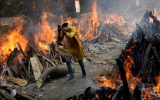 India objects to WHO methodology for calculating COVID-19 toll