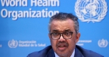 WHO chief, Taliban discuss ‘dire’ Afghan health crisis | News