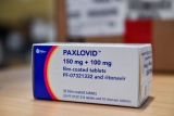 COVID-19 treatment Paxlovid has been free so far. Next year, sticker shock awaits