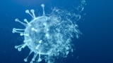How we will know when COVID-19 has become endemic