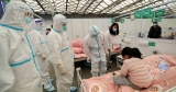 WHO warns coronavirus is far from settling into endemic situation | World Health Organization News