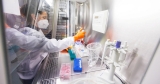 As New York City rolls out monkeypox vaccinations, CDC works to expand access