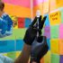Monkeypox outbreak slowing in the US, but health leaders say critical challenges remain