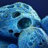 Continued record-breaking ocean temperatures seen again in 2022
