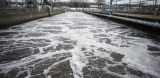New omicron subvariant found in Twin Cities area wastewater – InForum