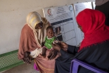 WHO intensifies response to looming health crisis in the greater Horn of Africa as food insecurity worsens