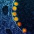 Tennessee reports 10 cases of monkeypox, per CDC