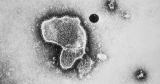 Pfizer’s RSV vaccine protects against severe illness in older adults