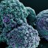 Maine CDC investigating COVID-19 outbreaks at 26 long-term care facilities in the state
