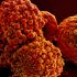 COVID Home Test Kits Less Effective With Omicron Variant: Study – Consumer Health News