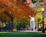 WFU in the news: Nov. 14-20