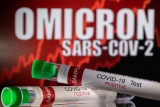 World Health Organisation flags new Omicron sub-variant in India : The Tribune India
