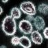 US administers 200 million COVID-19 vaccine doses
