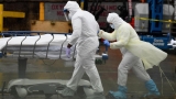 US intelligence community warns of devastating long-term impact of coronavirus pandemic