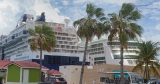 Two Royal Caribbean cruise passengers test positive for Covid-19