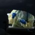 Coronavirus: Zydus Cadila seeks approval for needle-free COVID vaccine; Here’s how it works