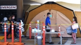 Florida and Texas had one-third of all Covid-19 cases in past week, official says