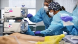 US coronavirus: Country could soon hit 200,000 new cases per day, NIH director warns