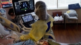 US coronavirus: With more than 100,000 people in the hospital with Covid-19, this August is worse than last, expert says