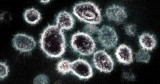 Unvaccinated, unmasked teacher spreads Covid-19 to elementary school students, CDC reports