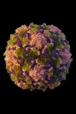 CDC issues travel notice for Ukraine due to polio risk