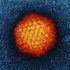 Pakistan reports first polio case in 15 months | Health News