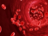 Health News Roundup: U.S. to require nursing home employees to get COVID-19 shots; Cancer patients’ own cells used in 3D printed tumours to test treatments and more
