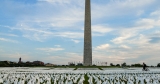 Expert Panel Calls for Overhaul of U.S. Public Health System