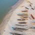COVID-19 updates: Elizabeth Warren tests positive