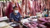 Covid-19 origins: New studies agree that animals sold at Wuhan market are most likely what started pandemic