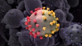 How the next coronavirus variant could emerge