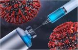 ERDC researchers analyze resilience in nanotechnology supply chains > Engineer Research and Development Center > News Stories