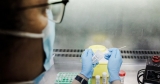 WHO says monkeypox does not constitute a global public health emergency