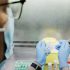The World Health Organization Says Monkeypox Should Not Be Declared as a Global Health … – Latest Tweet by The Spectator Index