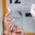 Outbreaks from animals in Africa surge by 60% in last decade