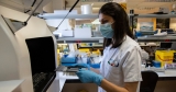 WHO declares monkeypox an international public health emergency