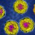 More Than Half of Babies, Toddlers Had ‘Systemic Reaction’ After COVID-19 Vaccine