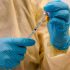 How will NY handle COVID, monkeypox risks with school about to start