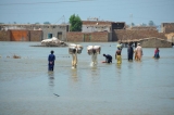 Pakistan floods: What you need to know