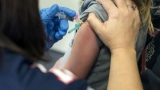 Video CDC warns of growing surge in flu infections – ABC News