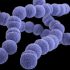 Florida COVID hospitalizations spiking but cases aren’t so severe