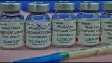 WHO suspends Covaxin supplies under UN procurement | Latest News India
