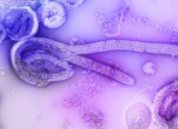 Ebola in DR Congo: Africa CDC report